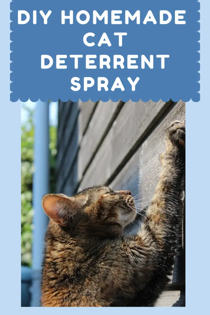 cat deterrent spray