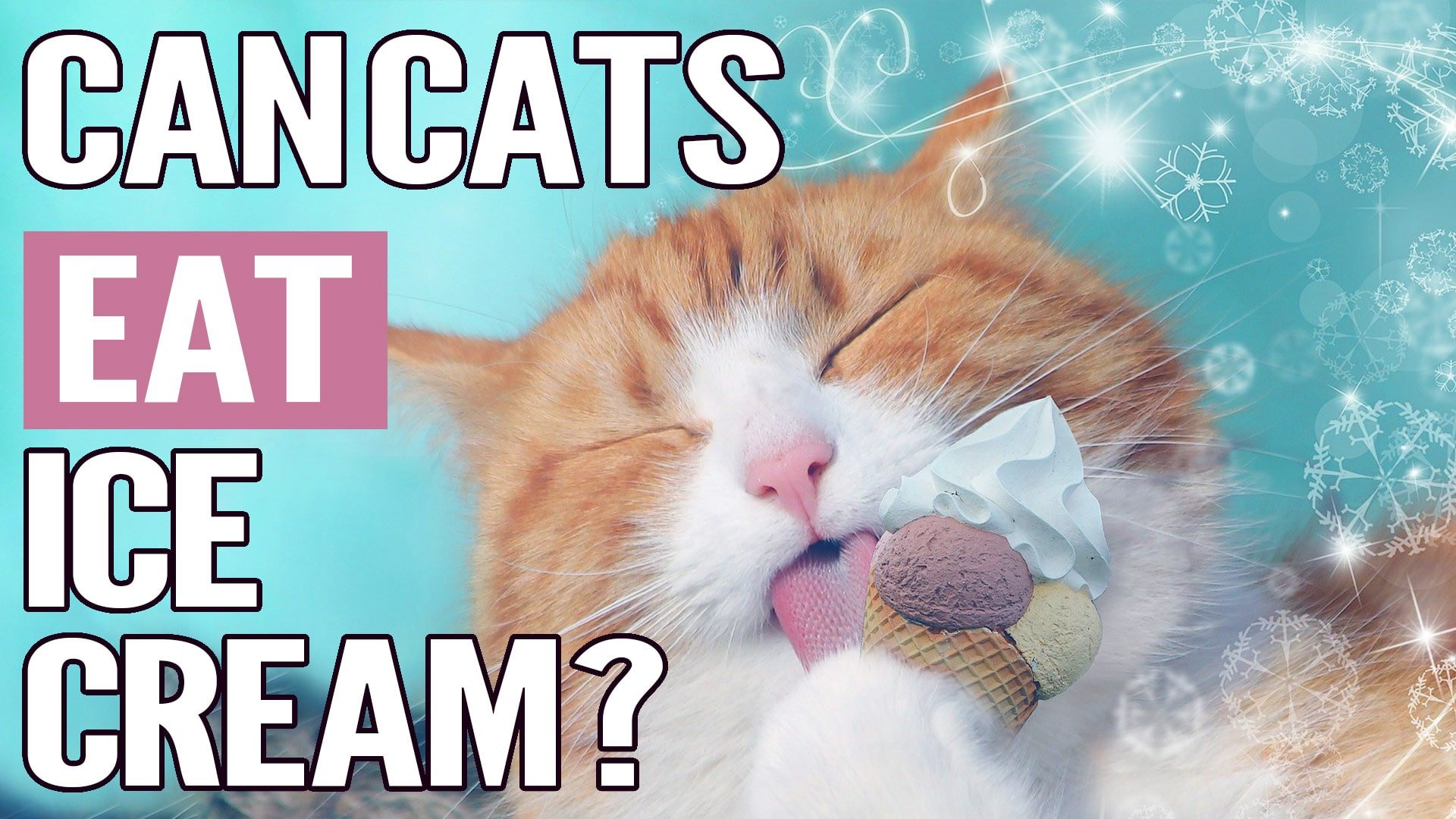 can cats eat ice cream