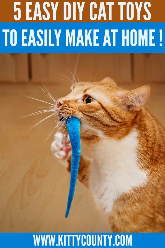 easy DIY cat toys